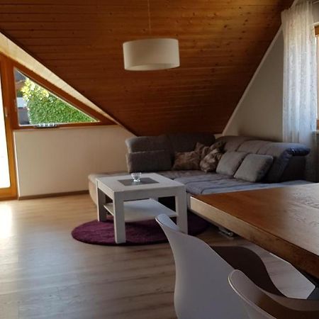 Appartment Sonnenblick Dielheim Kültér fotó
