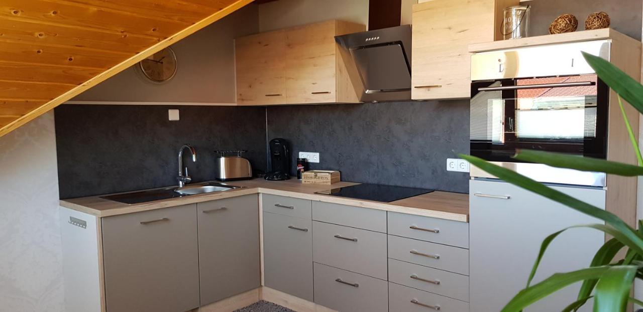 Appartment Sonnenblick Dielheim Kültér fotó